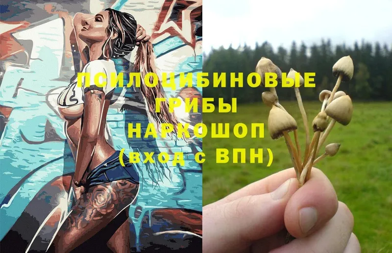 Псилоцибиновые грибы MAGIC MUSHROOMS  Георгиевск 